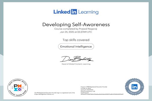 Self-Awareness